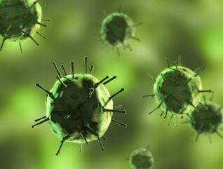 Bacteria that cause mucus secretions