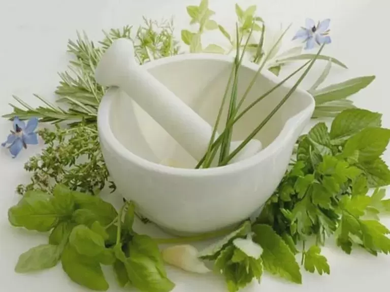 potency herbs