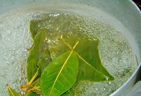 Bay leaf decoction for relaxing baths to address potency concerns