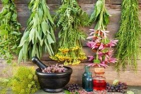 Herbs and Extracts with Male Potency