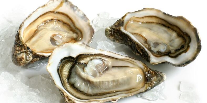 Potency of Oysters Photo 2