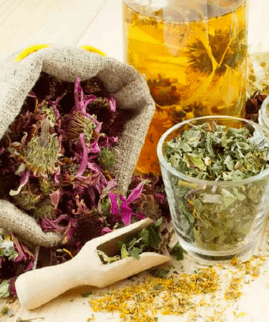The efficacy of herbs