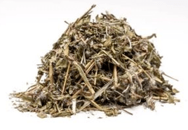 The effectiveness of Ivan Tea